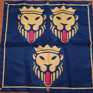 Zastava Dalmacija 60x60cm